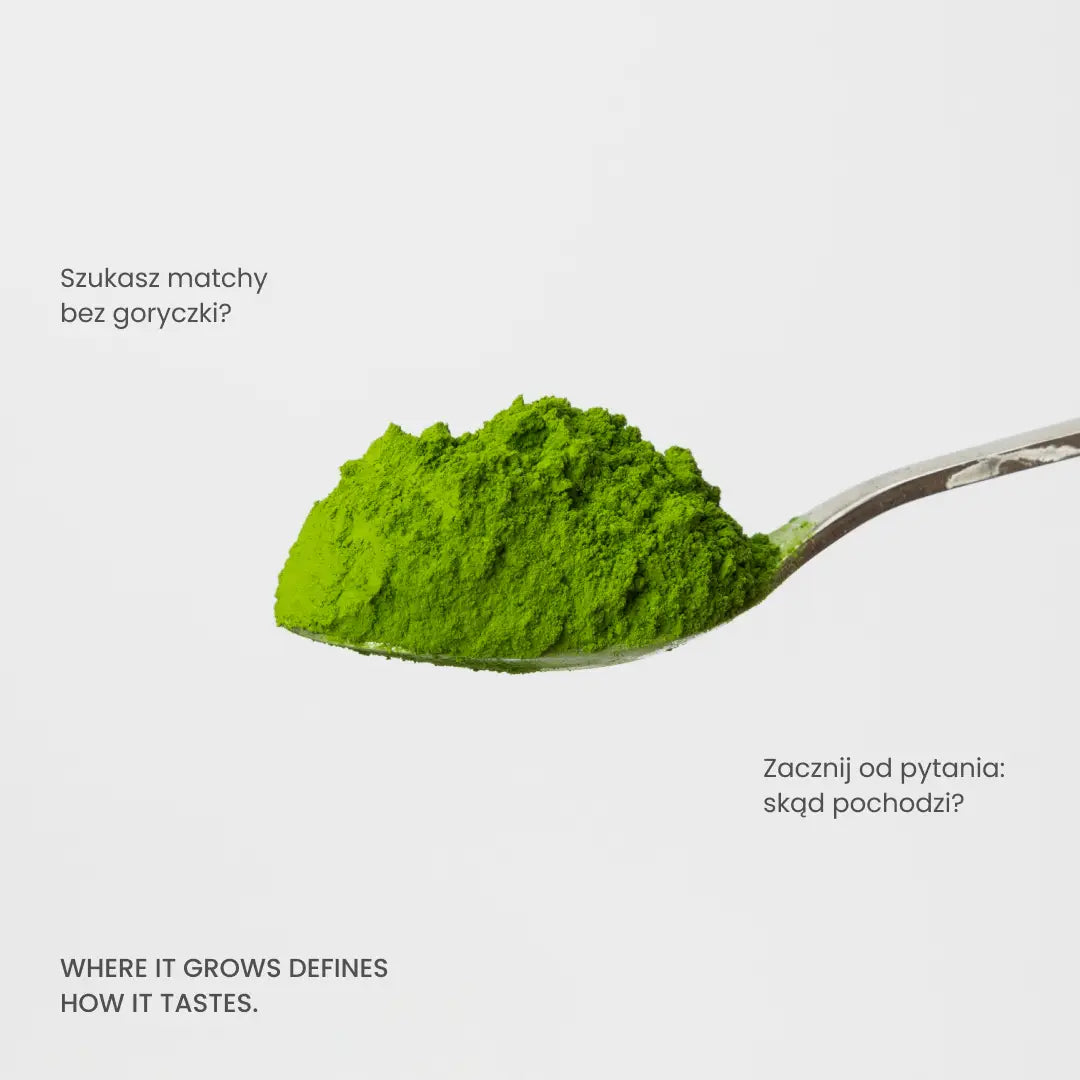 01 Oromatcha – matcha ceremonialna z pierwszego zbioru, puszka 30 g – zdjęcie 3