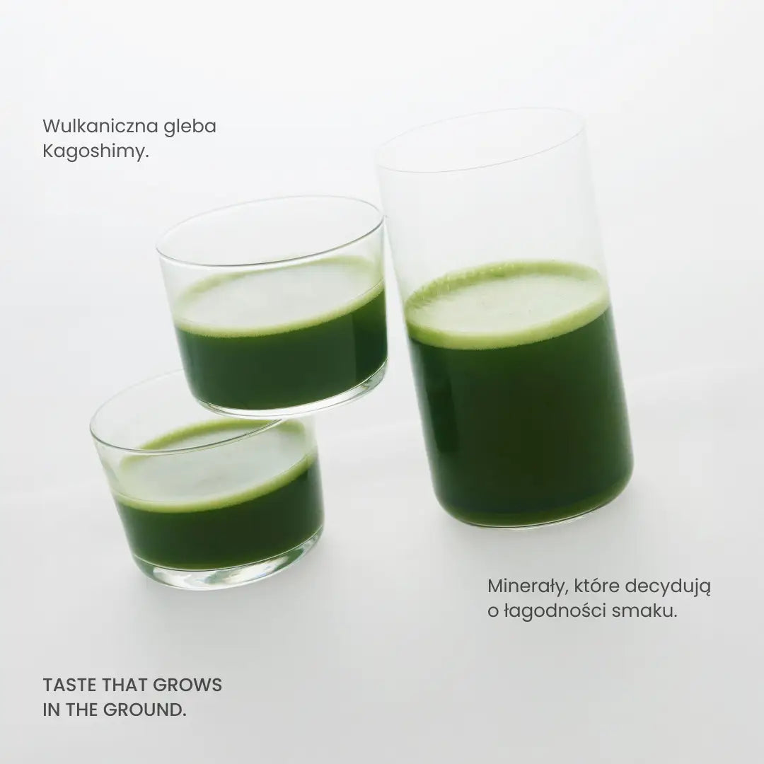 01 Oromatcha – matcha ceremonialna z pierwszego zbioru, puszka 30 g – zdjęcie 4