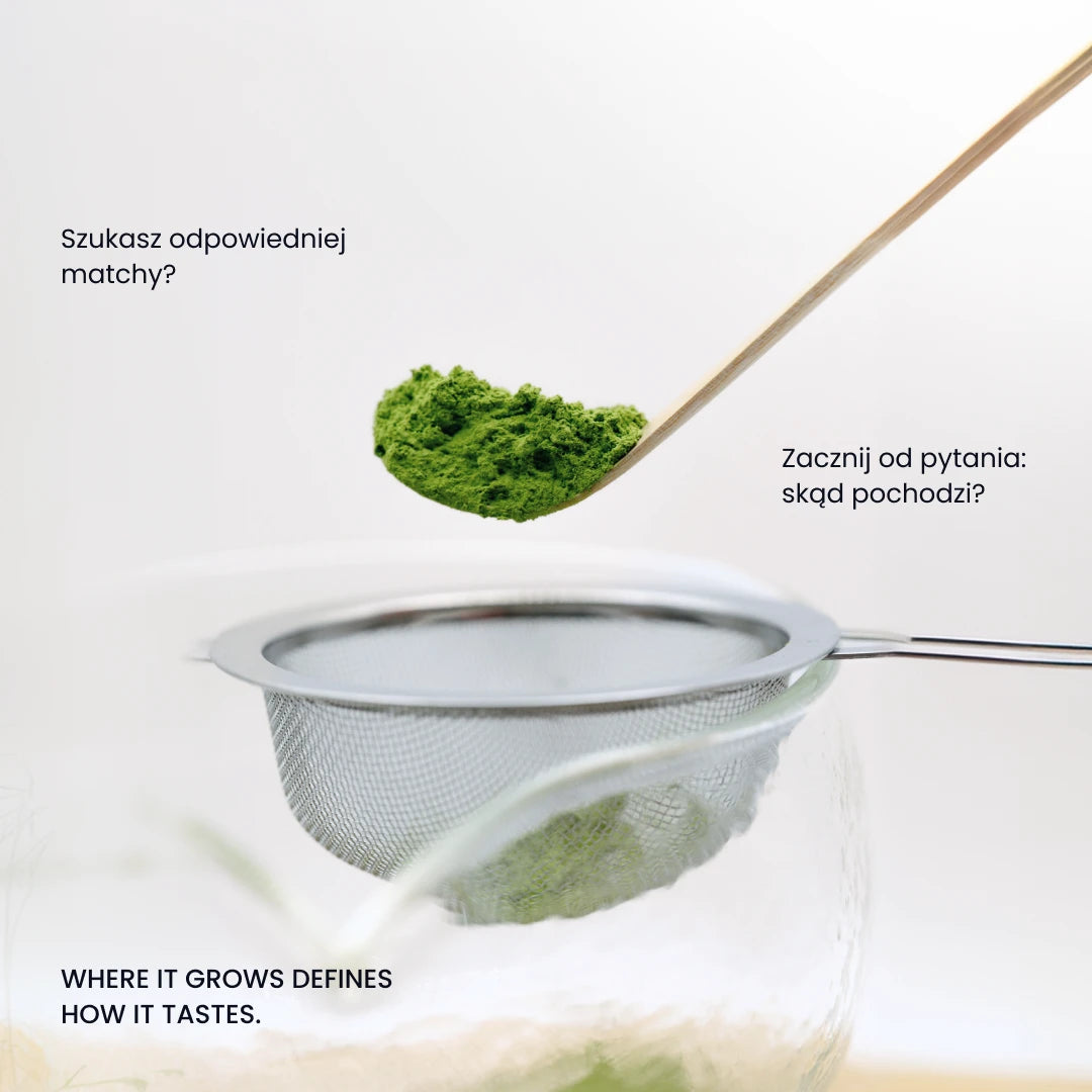 03 Takai – matcha codzienna do latte i gotowania – zdjęcie 3