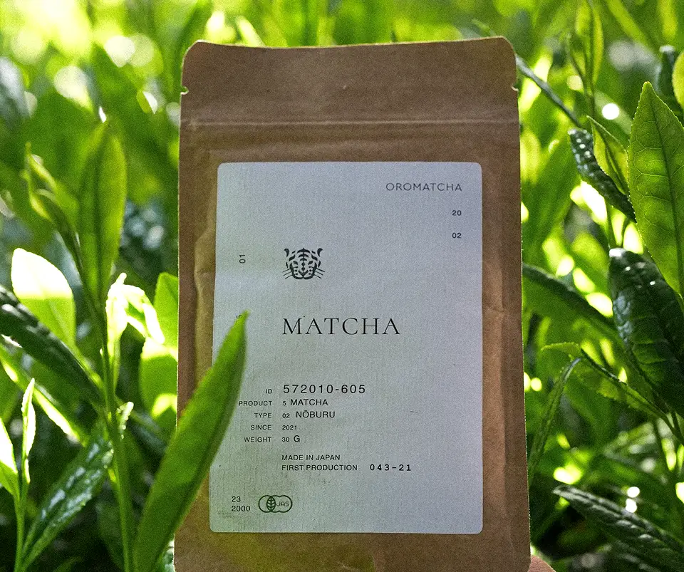 Grafika dla Matcha zdjęcie 2