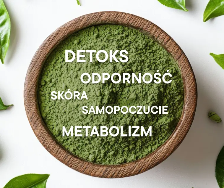 Grafika dla Matcha zdjęcie 3